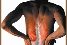 BackPain